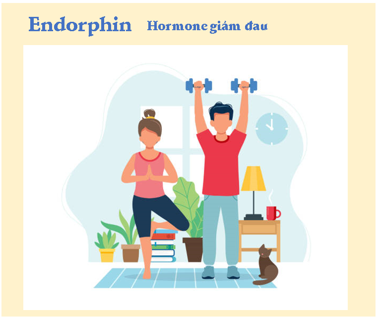 Hormone hạnh phúc: Endorphin (Hormone giảm đau)