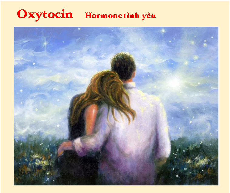 Hormone hạnh phúc: Oxytocin (Hormone tình yêu)