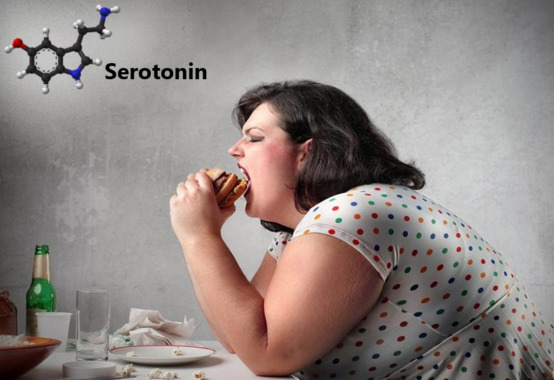 Mức serotonin thấp khiến bệnh nhân trầm cảm bị thèm ăn, ăn nhiều